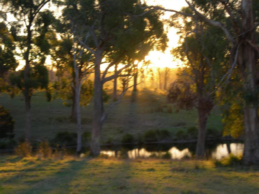 Platypus Park Country Retreat Villa Bridport Ruang foto