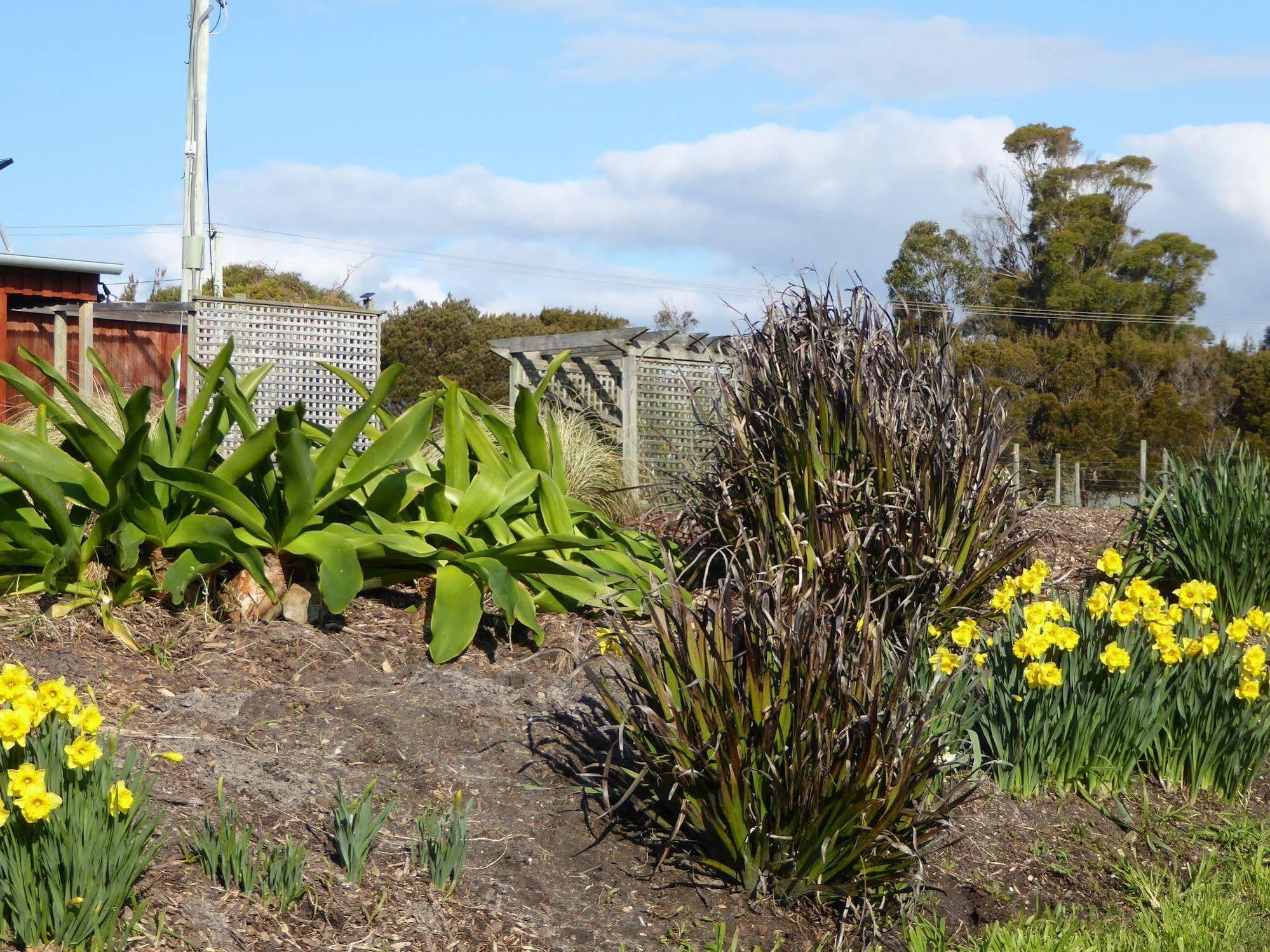 Platypus Park Country Retreat Villa Bridport Bagian luar foto