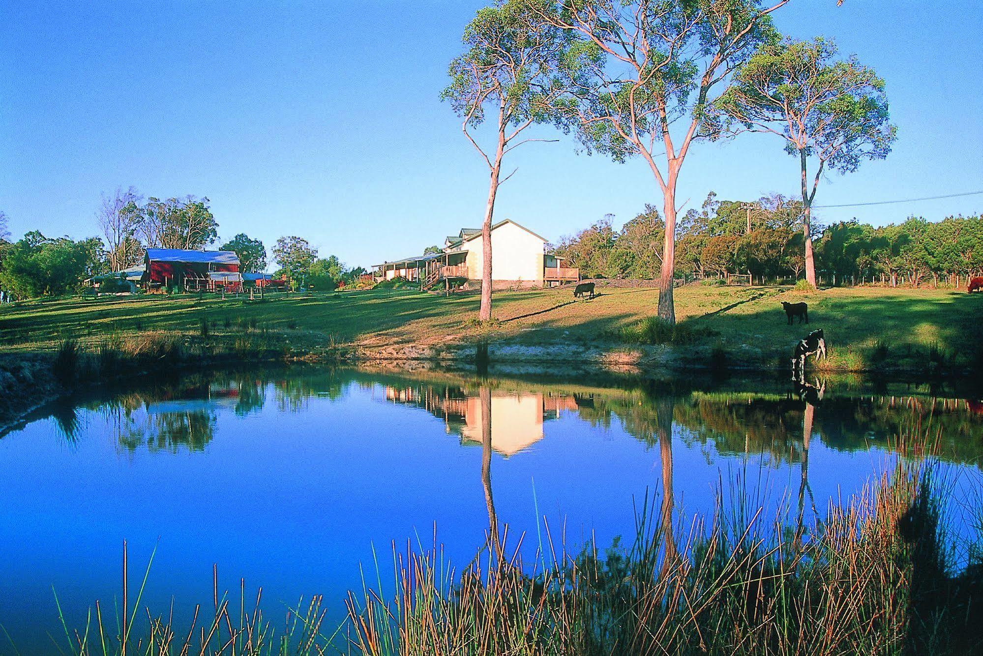 Platypus Park Country Retreat Villa Bridport Bagian luar foto