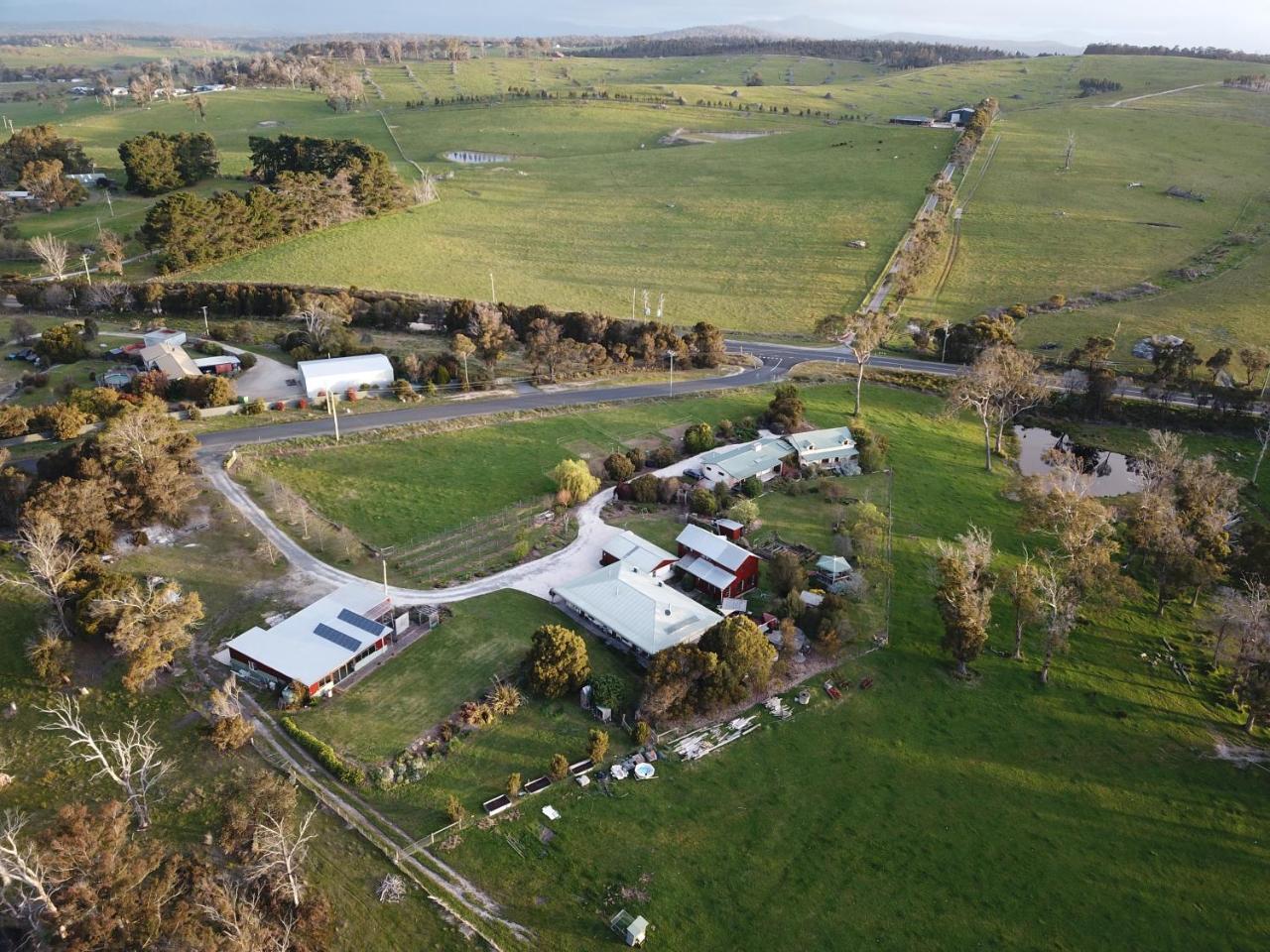 Platypus Park Country Retreat Villa Bridport Bagian luar foto