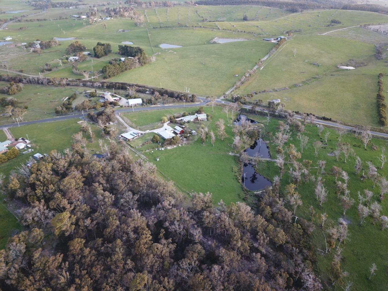 Platypus Park Country Retreat Villa Bridport Bagian luar foto